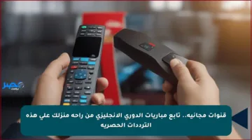قنوات مجانية.. تابع مباريات الدوري الإنجليزي من راحة منزلك على هذه الترددات الحصرية